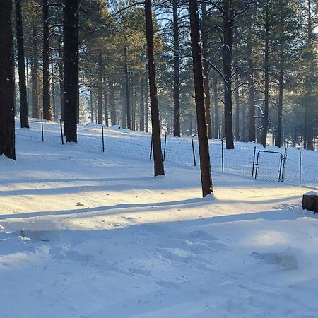 Close To Williams, Flagstaff, Grand Canyon And Sedona Kültér fotó