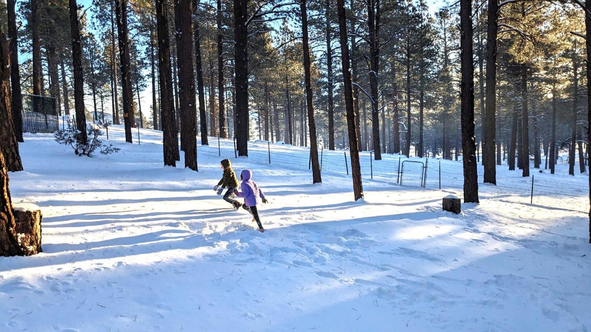 Close To Williams, Flagstaff, Grand Canyon And Sedona Kültér fotó