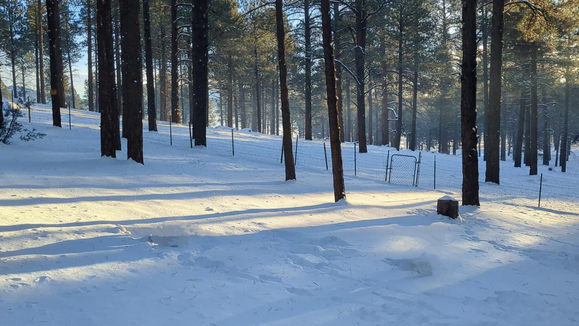 Close To Williams, Flagstaff, Grand Canyon And Sedona Kültér fotó