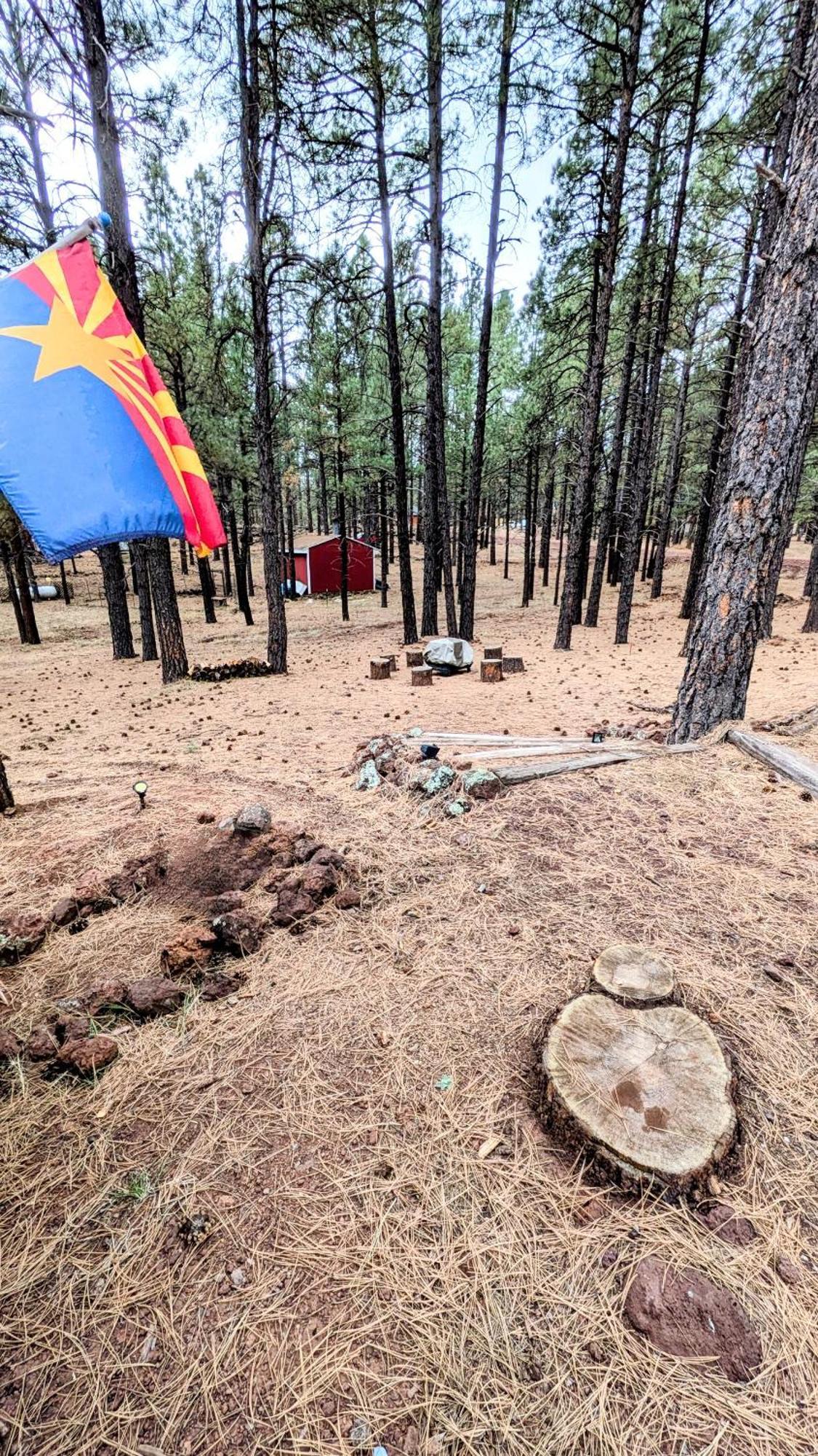 Close To Williams, Flagstaff, Grand Canyon And Sedona Kültér fotó