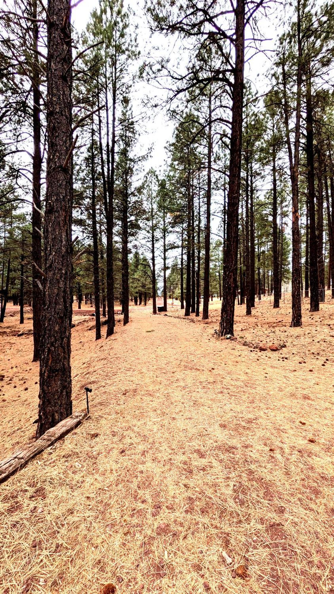 Close To Williams, Flagstaff, Grand Canyon And Sedona Kültér fotó