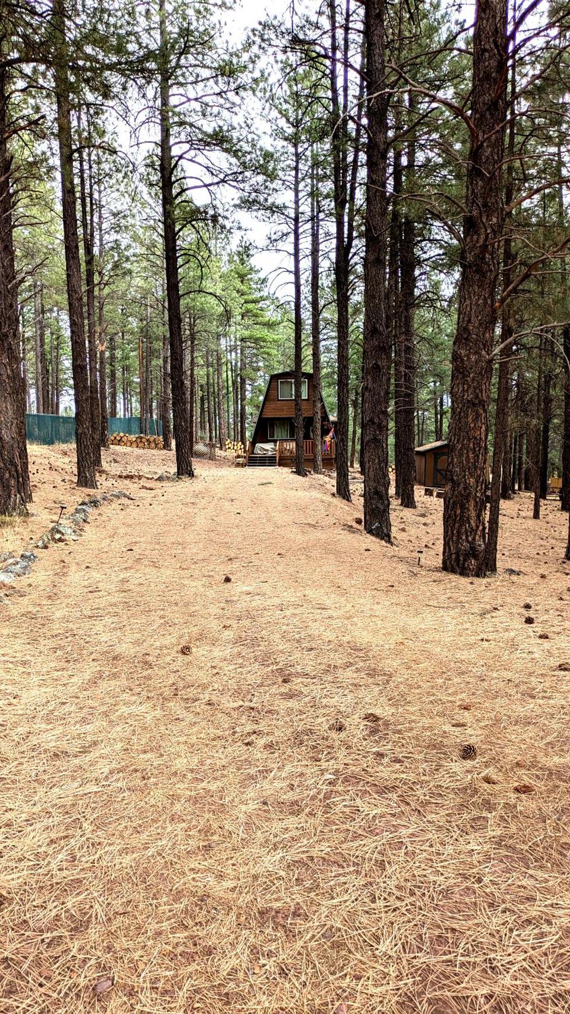 Close To Williams, Flagstaff, Grand Canyon And Sedona Kültér fotó